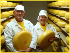 Noord-Hollandse kaas kopen online